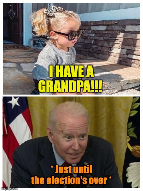 She's merely a Pawn protecting the King. | I HAVE A GRANDPA!!! * Just until the election's over * | made w/ Imgflip meme maker