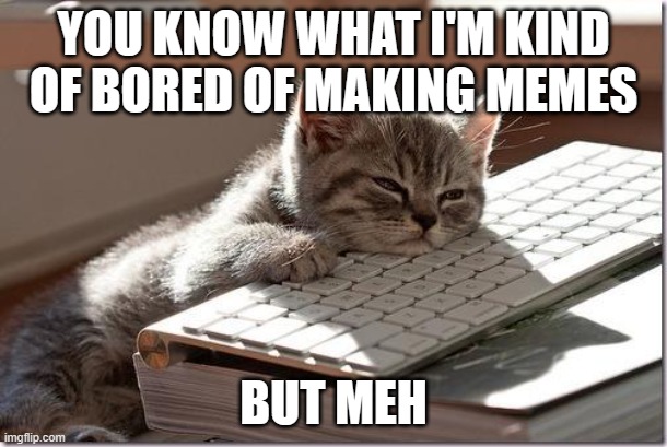 Bored Keyboard Cat | YOU KNOW WHAT I'M KIND OF BORED OF MAKING MEMES; BUT MEH | image tagged in bored keyboard cat | made w/ Imgflip meme maker