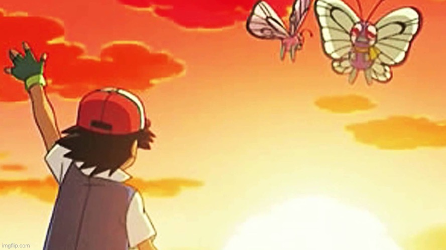 Bye bye butterfree | image tagged in bye bye butterfree | made w/ Imgflip meme maker