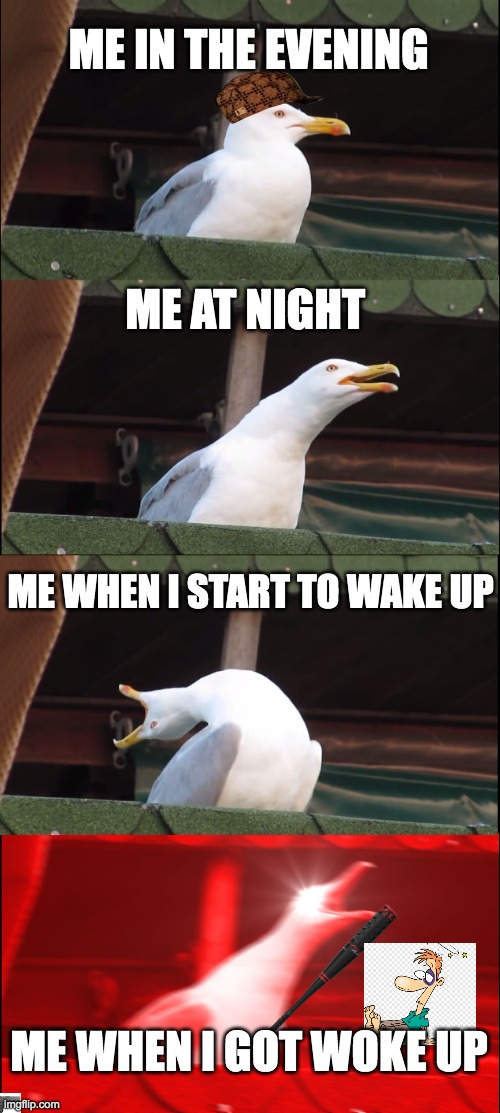 yesssss | ME IN THE EVENING; ME AT NIGHT; ME WHEN I START TO WAKE UP; ME WHEN I GOT WOKE UP | image tagged in memes,inhaling seagull | made w/ Imgflip meme maker