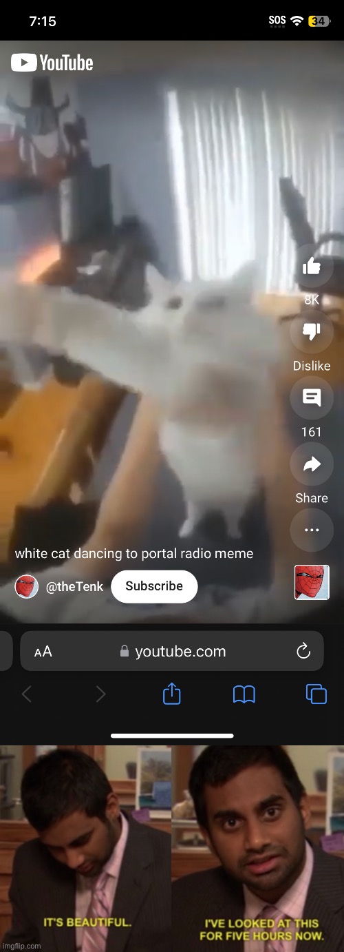 https://m.youtube.com/shorts/QjxyZ3W5Yxo | image tagged in i've looked at this for 5 hours now,cat,dancing,memes,hard,cats | made w/ Imgflip meme maker