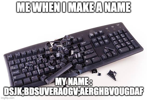 bro i just want a name | ME WHEN I MAKE A NAME; MY NAME : DSJK;BDSUVERAOGV;AERGHBVOUGDAF | made w/ Imgflip meme maker