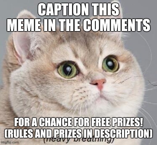 Closed contest | CAPTION THIS MEME IN THE COMMENTS; FOR A CHANCE FOR FREE PRIZES!
(RULES AND PRIZES IN DESCRIPTION) | image tagged in memes,heavy breathing cat | made w/ Imgflip meme maker