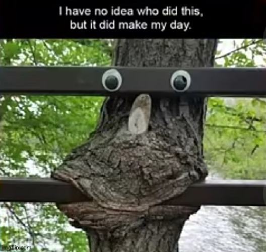 put googley eyes on something to make someone's day | image tagged in funny,tree,eyes,laugh,good day,today was a good day | made w/ Imgflip meme maker