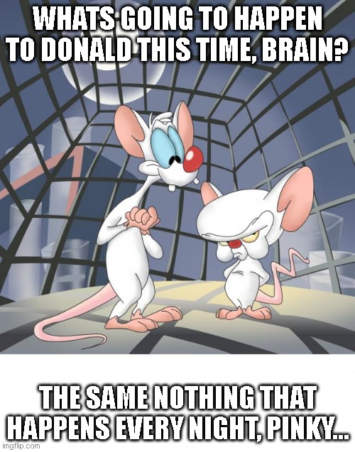 Nothings going to happen, indictments do nothing, he's still going to run for president, he's still going to win the debates.. | WHATS GOING TO HAPPEN TO DONALD THIS TIME, BRAIN? THE SAME NOTHING THAT HAPPENS EVERY NIGHT, PINKY... | image tagged in pinky and the brain | made w/ Imgflip meme maker