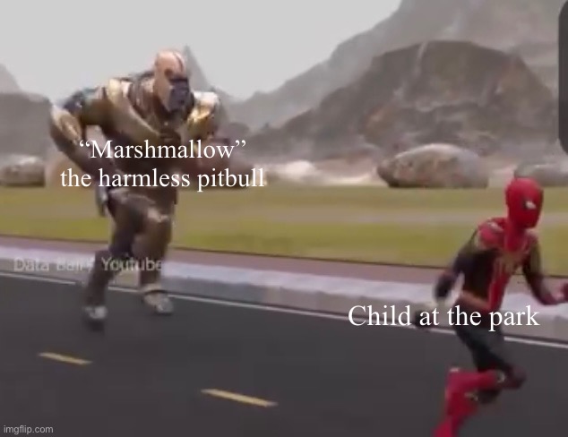 Pitbull W | “Marshmallow” the harmless pitbull; Child at the park | image tagged in thanos,spiderman,running | made w/ Imgflip meme maker