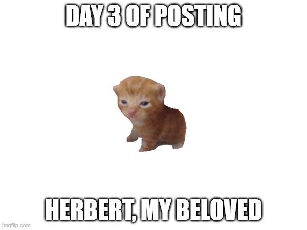 herbert, my beloved | DAY 3 OF POSTING; HERBERT, MY BELOVED | image tagged in herbert | made w/ Imgflip meme maker