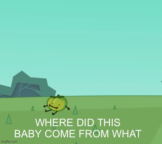WHERE DID THIS BABY COME FROM WHAT | made w/ Imgflip meme maker