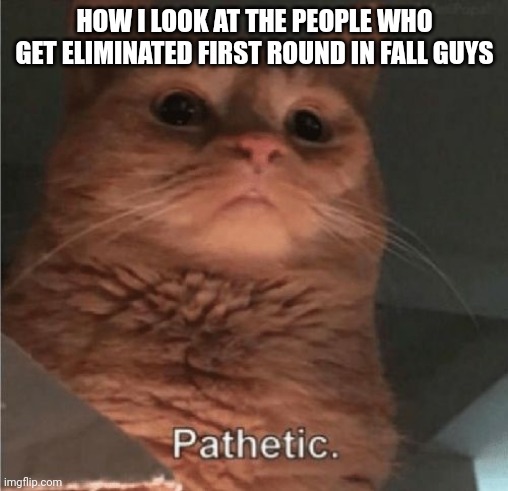 Pathetic | HOW I LOOK AT THE PEOPLE WHO GET ELIMINATED FIRST ROUND IN FALL GUYS | image tagged in pathetic cat,memes,fall guys,video games | made w/ Imgflip meme maker