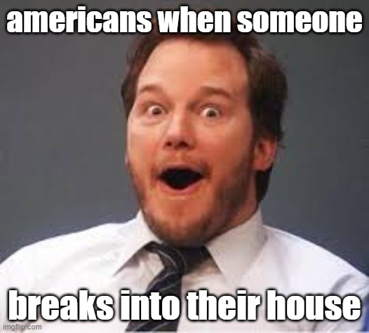 GUNS | americans when someone; breaks into their house | image tagged in excited andy | made w/ Imgflip meme maker