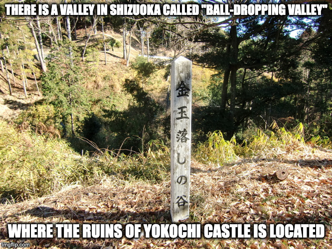 Kintama Otoshi no Tani | THERE IS A VALLEY IN SHIZUOKA CALLED "BALL-DROPPING VALLEY"; WHERE THE RUINS OF YOKOCHI CASTLE IS LOCATED | image tagged in valley,memes | made w/ Imgflip meme maker