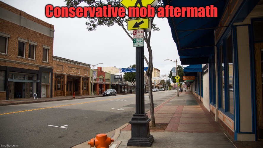 Conservative mob aftermath | made w/ Imgflip meme maker