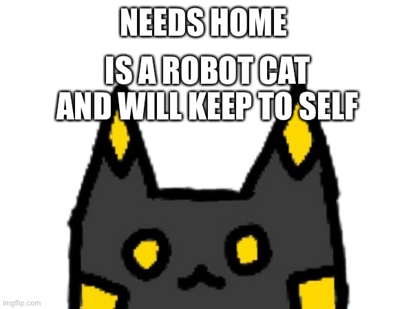 NEEDS HOME; IS A ROBOT CAT AND WILL KEEP TO SELF | made w/ Imgflip meme maker