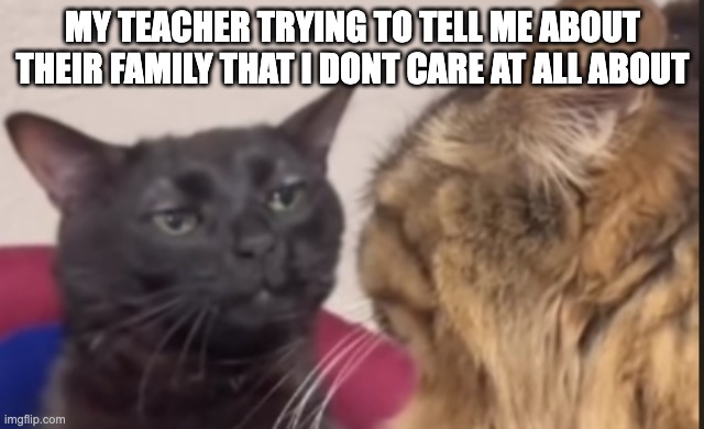 It so annoying | MY TEACHER TRYING TO TELL ME ABOUT THEIR FAMILY THAT I DONT CARE AT ALL ABOUT | image tagged in black cat zoning out | made w/ Imgflip meme maker