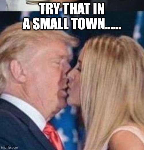 Try that in a small town! | TRY THAT IN A SMALL TOWN...... | image tagged in trump,trump supporter,conservative,republican,democrat,liberal | made w/ Imgflip meme maker