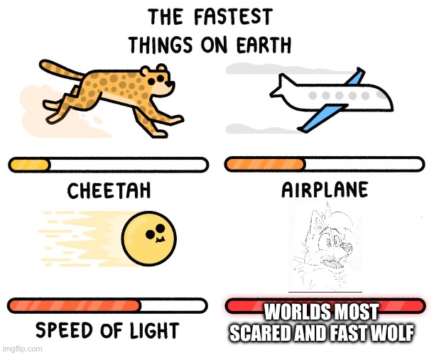 Fastest thing on earth | WORLDS MOST SCARED AND FAST WOLF | image tagged in fastest thing on earth | made w/ Imgflip meme maker