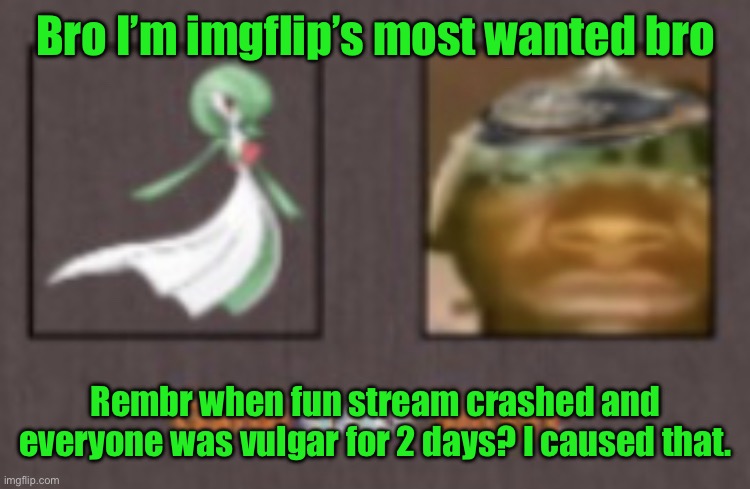 Gardi stalks sinxyt | Bro I’m imgflip’s most wanted bro; Rembr when fun stream crashed and everyone was vulgar for 2 days? I caused that. | image tagged in gardi stalks sinxyt | made w/ Imgflip meme maker
