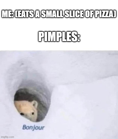 I hate when this happens -.- | PIMPLES:; ME: (EATS A SMALL SLICE OF PIZZA) | image tagged in bonjour,pizza,pimples | made w/ Imgflip meme maker
