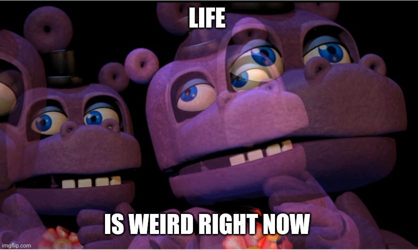 The weird life | LIFE; IS WEIRD RIGHT NOW | image tagged in mr hippo thinking | made w/ Imgflip meme maker