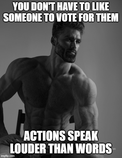 Giga Chad | YOU DON'T HAVE TO LIKE SOMEONE TO VOTE FOR THEM ACTIONS SPEAK LOUDER THAN WORDS | image tagged in giga chad | made w/ Imgflip meme maker
