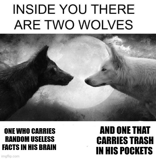 I have both wolves... | AND ONE THAT CARRIES TRASH IN HIS POCKETS; ONE WHO CARRIES RANDOM USELESS FACTS IN HIS BRAIN | image tagged in inside you there are two wolves | made w/ Imgflip meme maker