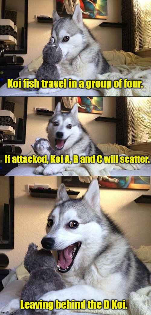 Sick Dad joke. | Koi fish travel in a group of four. If attacked, Koi A, B and C will scatter. Leaving behind the D Koi. | image tagged in memes,bad pun dog,funny | made w/ Imgflip meme maker