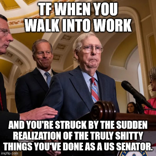 Glitch McConnell | TF WHEN YOU WALK INTO WORK; AND YOU'RE STRUCK BY THE SUDDEN REALIZATION OF THE TRULY SHITTY THINGS YOU'VE DONE AS A US SENATOR. | image tagged in glitch mcconnell | made w/ Imgflip meme maker