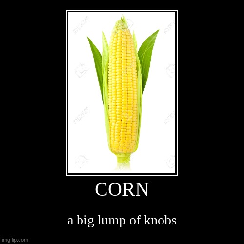 CORN | a big lump of knobs | image tagged in funny,demotivationals,corn | made w/ Imgflip demotivational maker