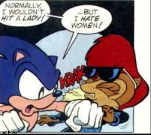 sonic hates women | image tagged in sonic hates women | made w/ Imgflip meme maker