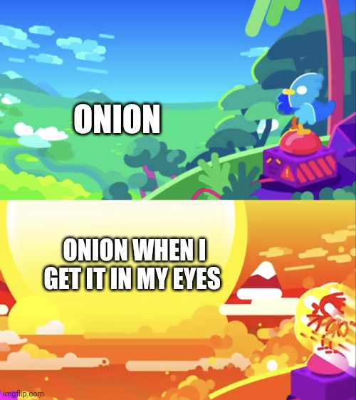 Onion to the eyes is very painful | ONION; ONION WHEN I GET IT IN MY EYES | image tagged in kurzgesagt explosion | made w/ Imgflip meme maker