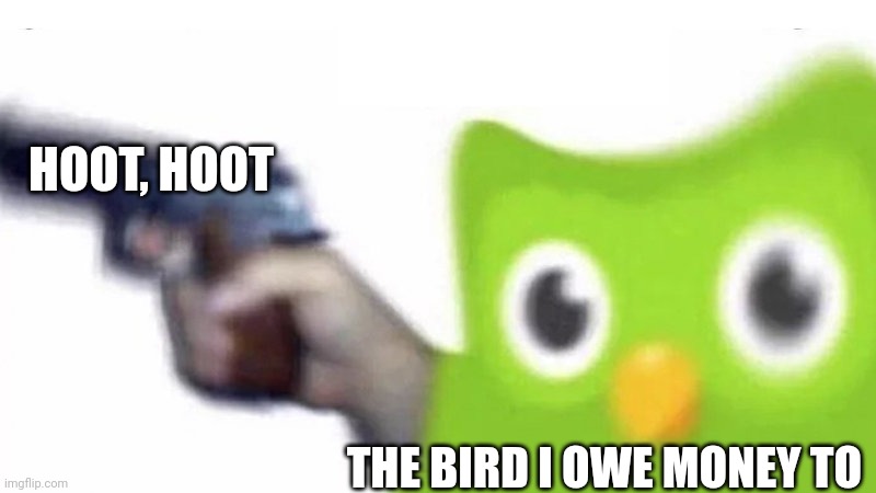 I owed that bird money | HOOT, HOOT; THE BIRD I OWE MONEY TO | image tagged in duolingo gun | made w/ Imgflip meme maker