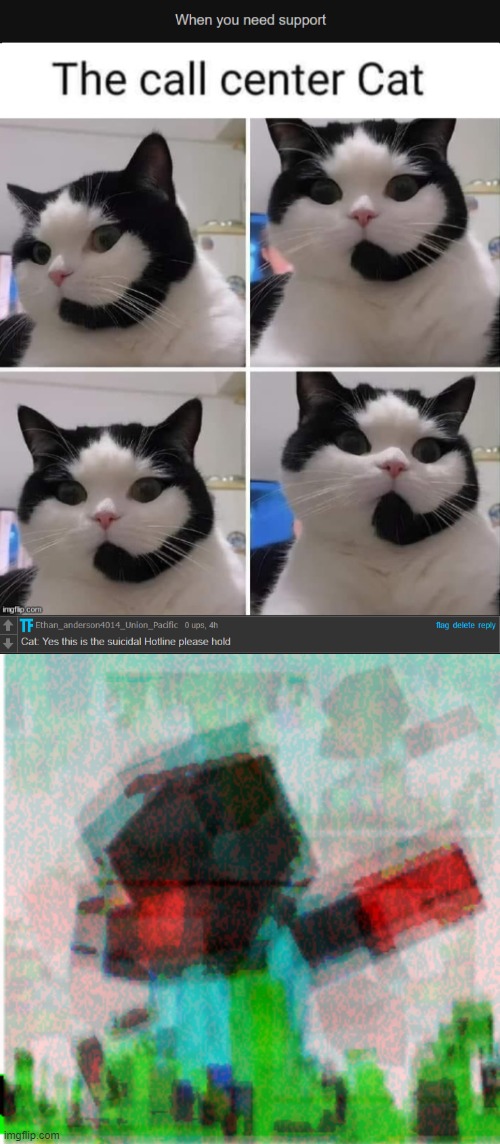 Cat: this is the suicidal hotline please hold | image tagged in pure evil | made w/ Imgflip meme maker