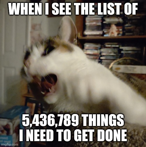 Request from my friend | WHEN I SEE THE LIST OF; 5,436,789 THINGS I NEED TO GET DONE | image tagged in panic cat,to do list,cat,funny memes,relatable,hell | made w/ Imgflip meme maker
