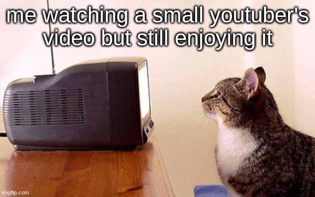 cat watching tv | me watching a small youtuber's video but still enjoying it | image tagged in cat watching tv | made w/ Imgflip meme maker