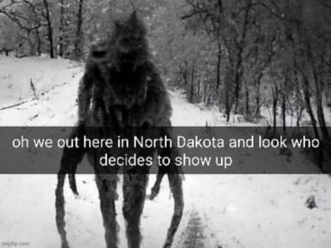 north dakota | image tagged in north dakota | made w/ Imgflip meme maker