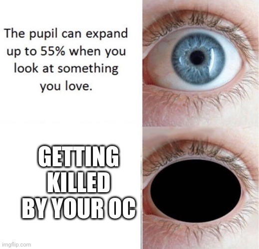 ????? | GETTING KILLED BY YOUR OC | made w/ Imgflip meme maker