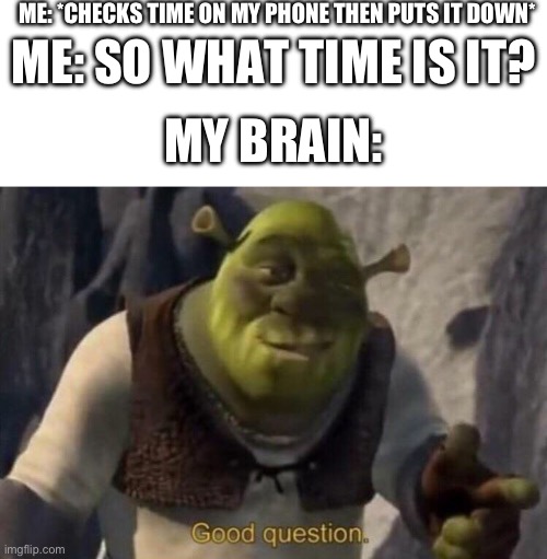 Shrek good question | ME: *CHECKS TIME ON MY PHONE THEN PUTS IT DOWN*; ME: SO WHAT TIME IS IT? MY BRAIN: | image tagged in shrek good question | made w/ Imgflip meme maker