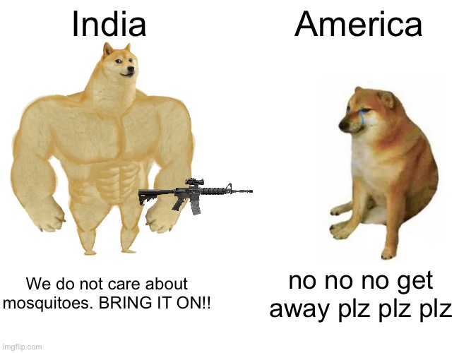 Mosquitos. Ugh. | India; America; We do not care about mosquitoes. BRING IT ON!! no no no get away plz plz plz | image tagged in memes,buff doge vs cheems,india,america,oh wow are you actually reading these tags,thanks | made w/ Imgflip meme maker
