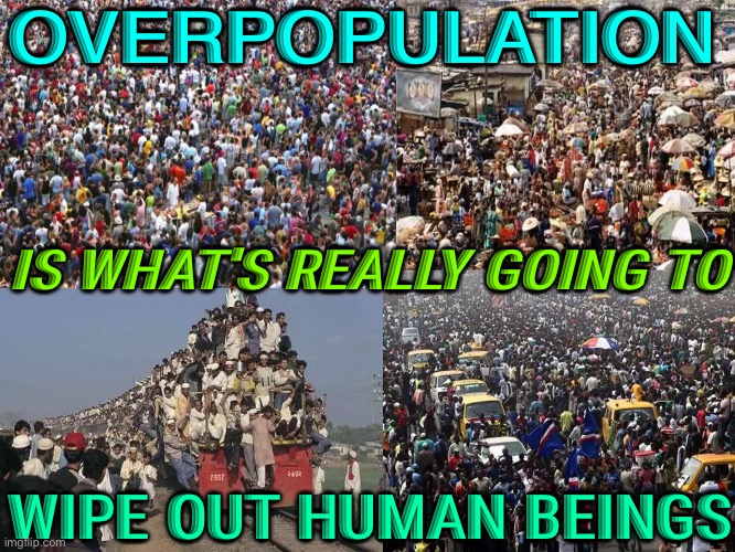 Overpopulation | OVERPOPULATION; IS WHAT'S REALLY GOING TO; WIPE OUT HUMAN BEINGS | image tagged in overpopulation | made w/ Imgflip meme maker