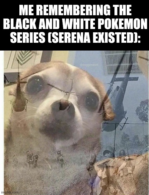 PTSD Chihuahua | ME REMEMBERING THE BLACK AND WHITE POKEMON SERIES (SERENA EXISTED): | image tagged in ptsd chihuahua | made w/ Imgflip meme maker