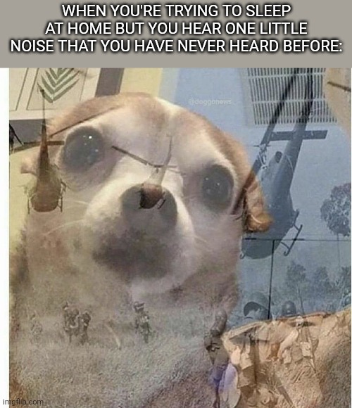 "AHHH WHAT WAS THAT?!" | WHEN YOU'RE TRYING TO SLEEP AT HOME BUT YOU HEAR ONE LITTLE NOISE THAT YOU HAVE NEVER HEARD BEFORE: | image tagged in ptsd chihuahua,memes,sleep,noise,relatable | made w/ Imgflip meme maker