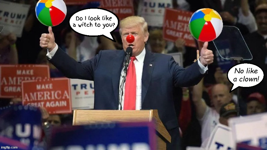 Trump's not a witch | Do I look like a witch to you? No like a clown! | image tagged in donald trump,witch hunt,clown,maga,losr,criminal | made w/ Imgflip meme maker