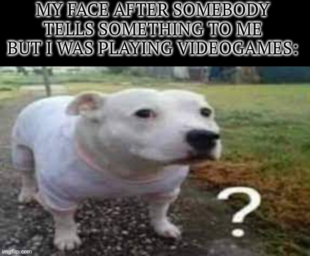 Fr | MY FACE AFTER SOMEBODY TELLS SOMETHING TO ME BUT I WAS PLAYING VIDEOGAMES: | image tagged in dog question mark,memes,funny,relatable,video games | made w/ Imgflip meme maker