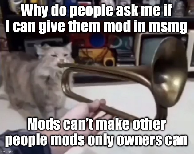 ? | Why do people ask me if I can give them mod in msmg; Mods can’t make other people mods only owners can | made w/ Imgflip meme maker