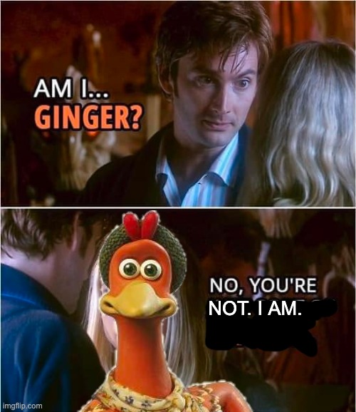 Am I Ginger? | NOT. I AM. | image tagged in chicken run,doctor who,christmas | made w/ Imgflip meme maker