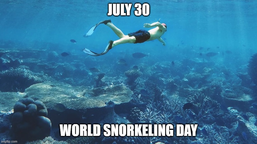 World Snorkeling Day | JULY 30; WORLD SNORKELING DAY | image tagged in daily | made w/ Imgflip meme maker