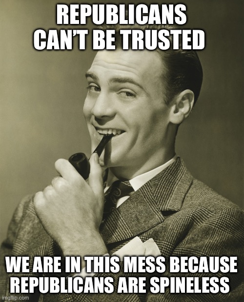Smug | REPUBLICANS CAN’T BE TRUSTED WE ARE IN THIS MESS BECAUSE REPUBLICANS ARE SPINELESS | image tagged in smug | made w/ Imgflip meme maker