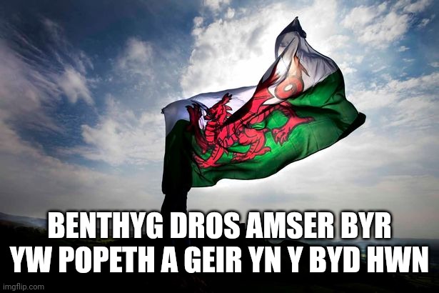 welsh flag | BENTHYG DROS AMSER BYR YW POPETH A GEIR YN Y BYD HWN | image tagged in welsh flag | made w/ Imgflip meme maker