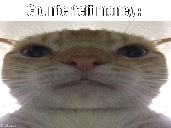 Counterfeit money : | made w/ Imgflip meme maker