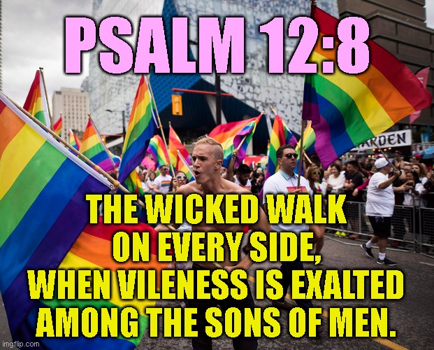 PSALM 12:8; THE WICKED WALK
ON EVERY SIDE,
WHEN VILENESS IS EXALTED
AMONG THE SONS OF MEN. | made w/ Imgflip meme maker